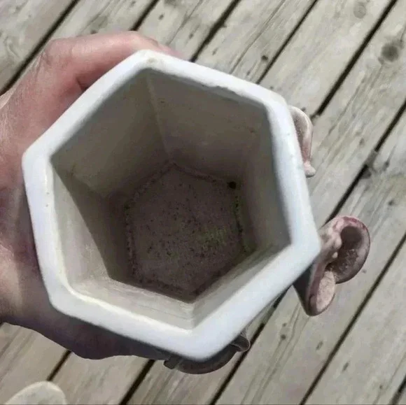 🎉Host Pick🤩Pottery  Vase - Picture 2 of 8